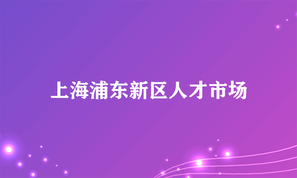 上海浦东新区人才市场