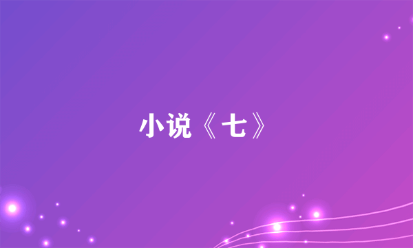 小说《七》