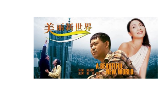 美丽新世界（2004年吴卫东执导电视剧）