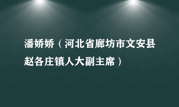 潘娇娇（河北省廊坊市文安县赵各庄镇人大副主席）