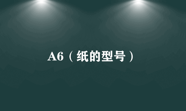 A6（纸的型号）