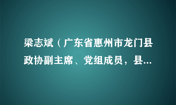 梁志斌（广东省惠州市龙门县政协副主席、党组成员，县财政局局长、党组书记）