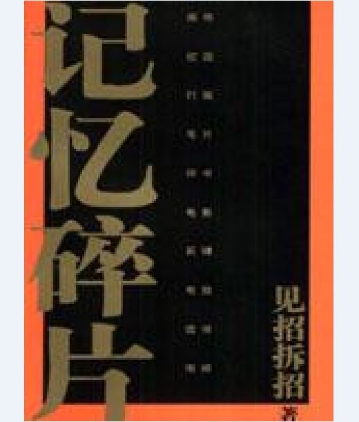 记忆碎片（2004年南海出版公司出版的图书）