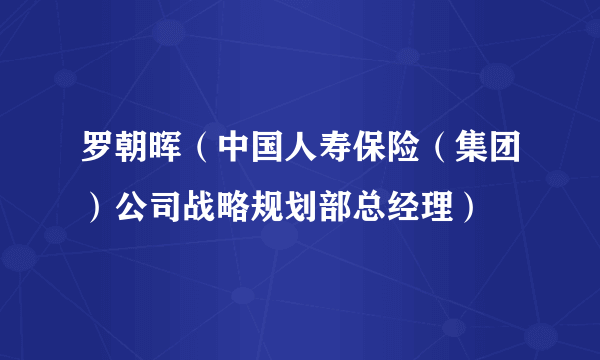 罗朝晖（中国人寿保险（集团）公司战略规划部总经理）