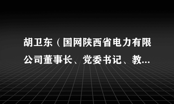 胡卫东（国网陕西省电力有限公司董事长、党委书记、教授级高级工程师）