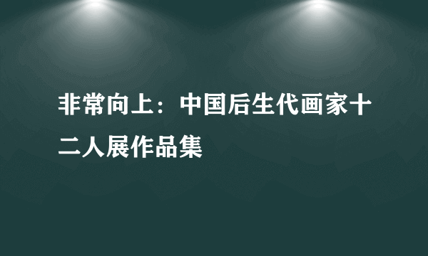 非常向上：中国后生代画家十二人展作品集