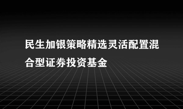 民生加银策略精选灵活配置混合型证券投资基金