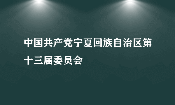 中国共产党宁夏回族自治区第十三届委员会