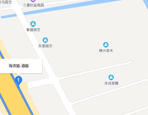 海滨路（上海市海滨路）