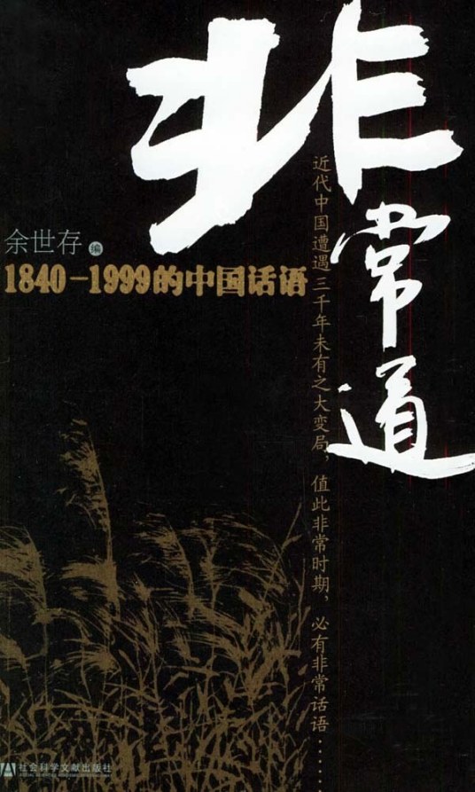 非常道（2005年社会科学文献出版社出版的图书）