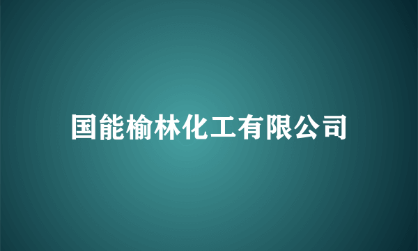 国能榆林化工有限公司