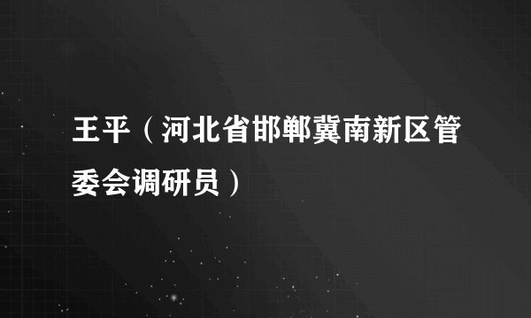 王平（河北省邯郸冀南新区管委会调研员）