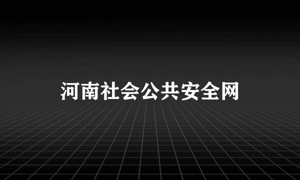 河南社会公共安全网