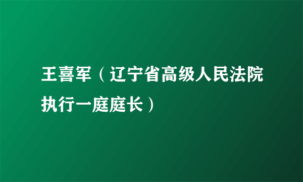 王喜军（辽宁省高级人民法院执行一庭庭长）