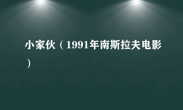 小家伙（1991年南斯拉夫电影）