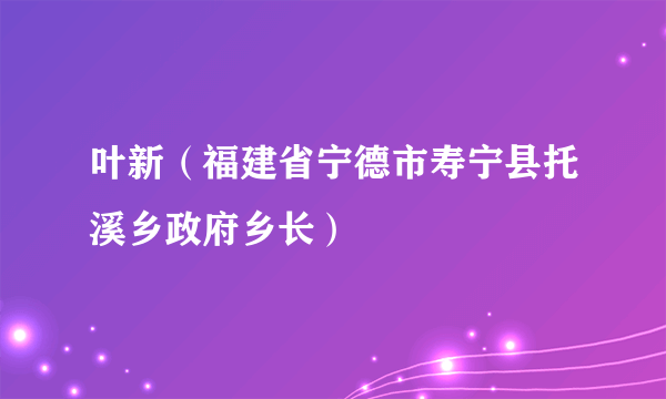 叶新（福建省宁德市寿宁县托溪乡政府乡长）