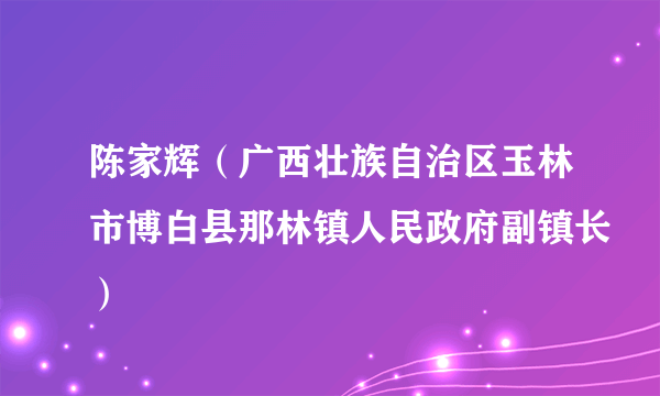 陈家辉（广西壮族自治区玉林市博白县那林镇人民政府副镇长）