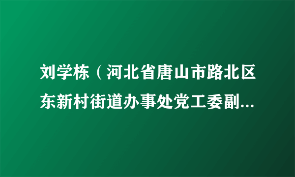 刘学栋（河北省唐山市路北区东新村街道办事处党工委副书记、办事处主任）