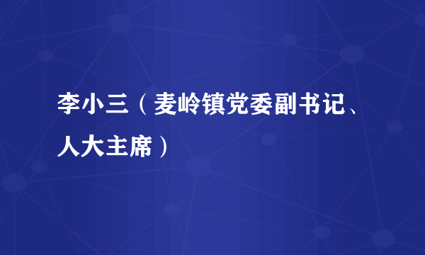 李小三（麦岭镇党委副书记、人大主席）