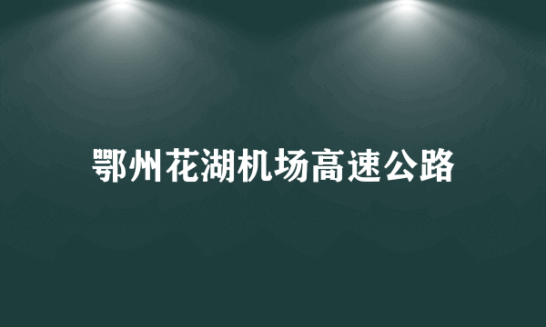 鄂州花湖机场高速公路