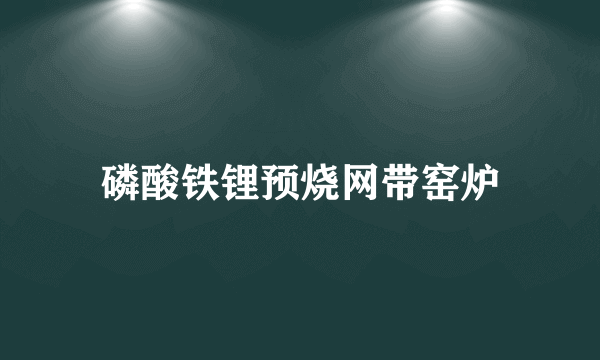 磷酸铁锂预烧网带窑炉