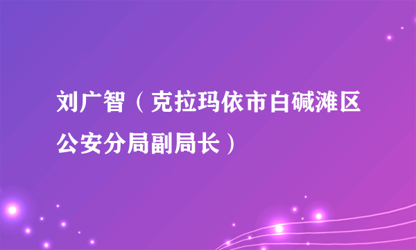 刘广智（克拉玛依市白碱滩区公安分局副局长）