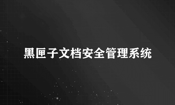 黑匣子文档安全管理系统