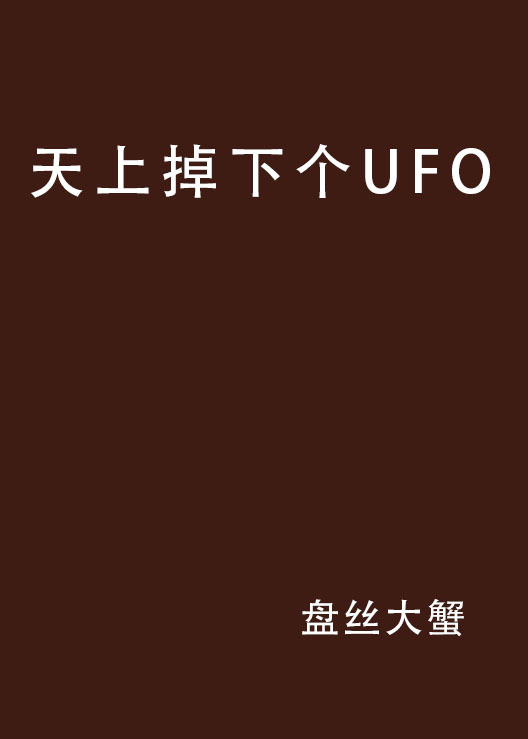 天上掉下个UFO（小说）