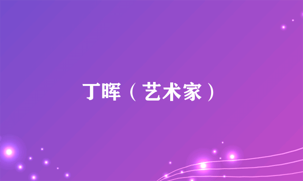 丁晖（艺术家）