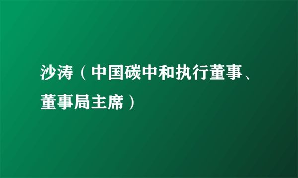 沙涛（中国碳中和执行董事、董事局主席）