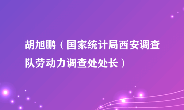 胡旭鹏（国家统计局西安调查队劳动力调查处处长）