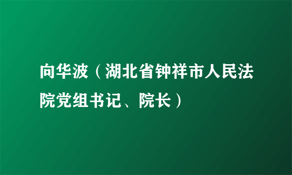 向华波（湖北省钟祥市人民法院党组书记、院长）