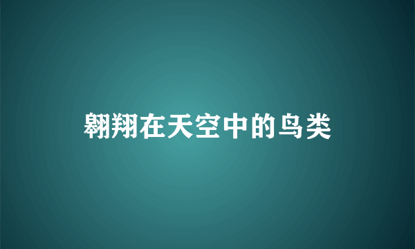 翱翔在天空中的鸟类