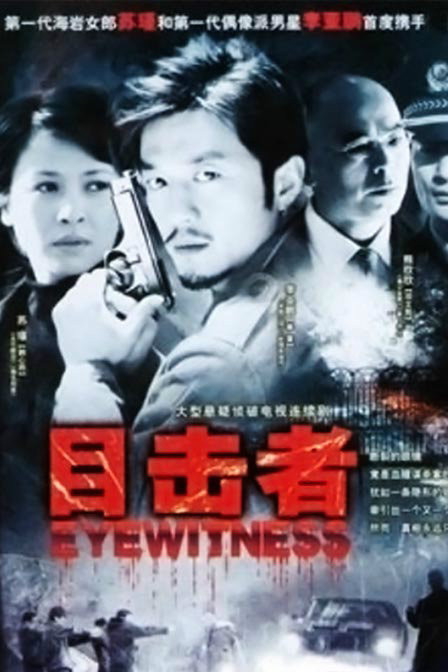 目击者（2007年李亚鹏主演电视剧）