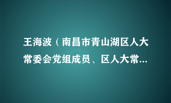 王海波（南昌市青山湖区人大常委会党组成员、区人大常委会副主任）