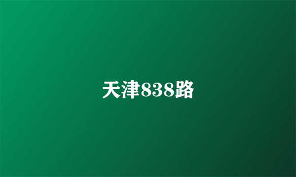 天津838路