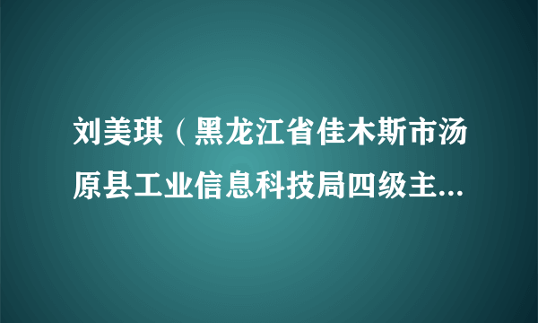 刘美琪（黑龙江省佳木斯市汤原县工业信息科技局四级主任科员）