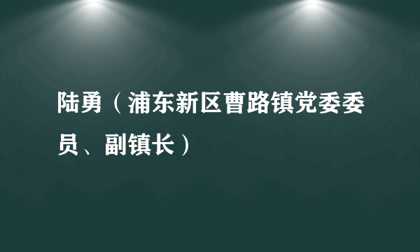 陆勇（浦东新区曹路镇党委委员、副镇长）