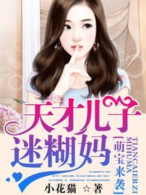 天才儿子迷糊妈（小花猫创作的总裁豪门类小说）