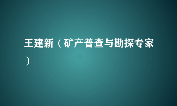 王建新（矿产普查与勘探专家）