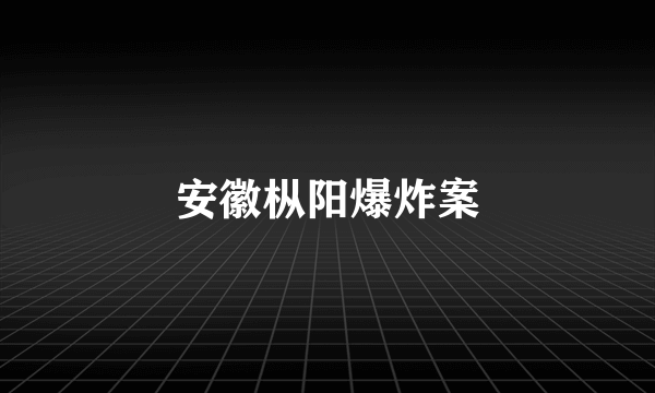 安徽枞阳爆炸案