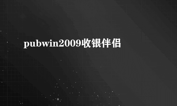 pubwin2009收银伴侣