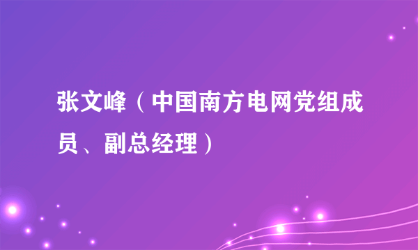 张文峰（中国南方电网党组成员、副总经理）