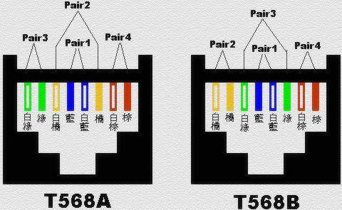 T586A