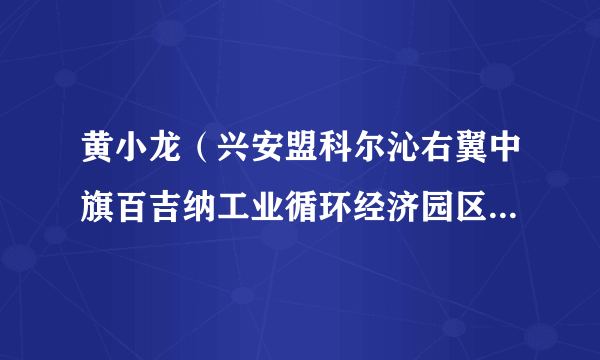 黄小龙（兴安盟科尔沁右翼中旗百吉纳工业循环经济园区管理委员会党工委委员、综合秘书股股长）