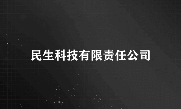 民生科技有限责任公司