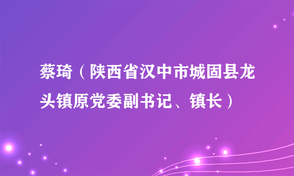 蔡琦（陕西省汉中市城固县龙头镇原党委副书记、镇长）