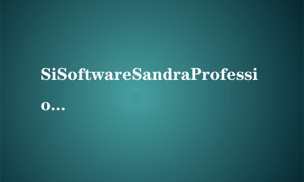 SiSoftwareSandraProfessional2005汉化版