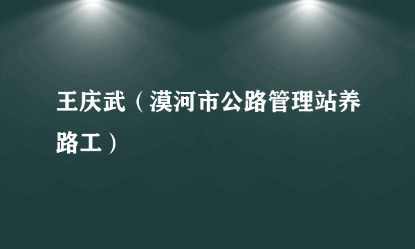 王庆武（漠河市公路管理站养路工）