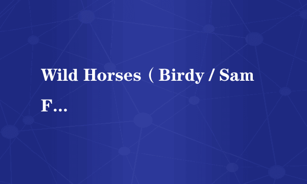 Wild Horses（Birdy / Sam Feldt演唱歌曲）